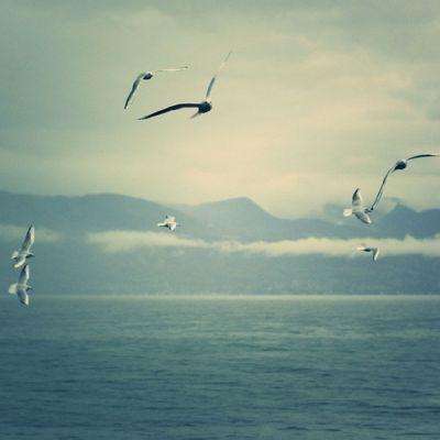 爱游戏ayx体育登录手机app下载