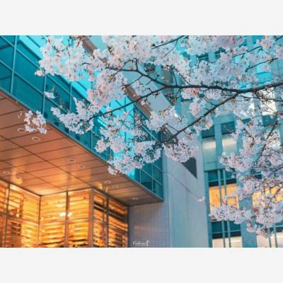 电子mg官方网站 