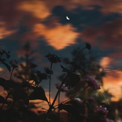 半岛体体育下载