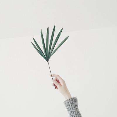 乐鱼游戏app在线登录下载手机版